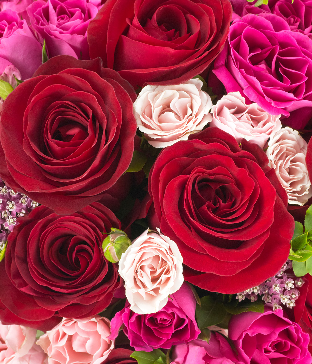 Darcy red rose Flower Bouquet by flannel flowers florist