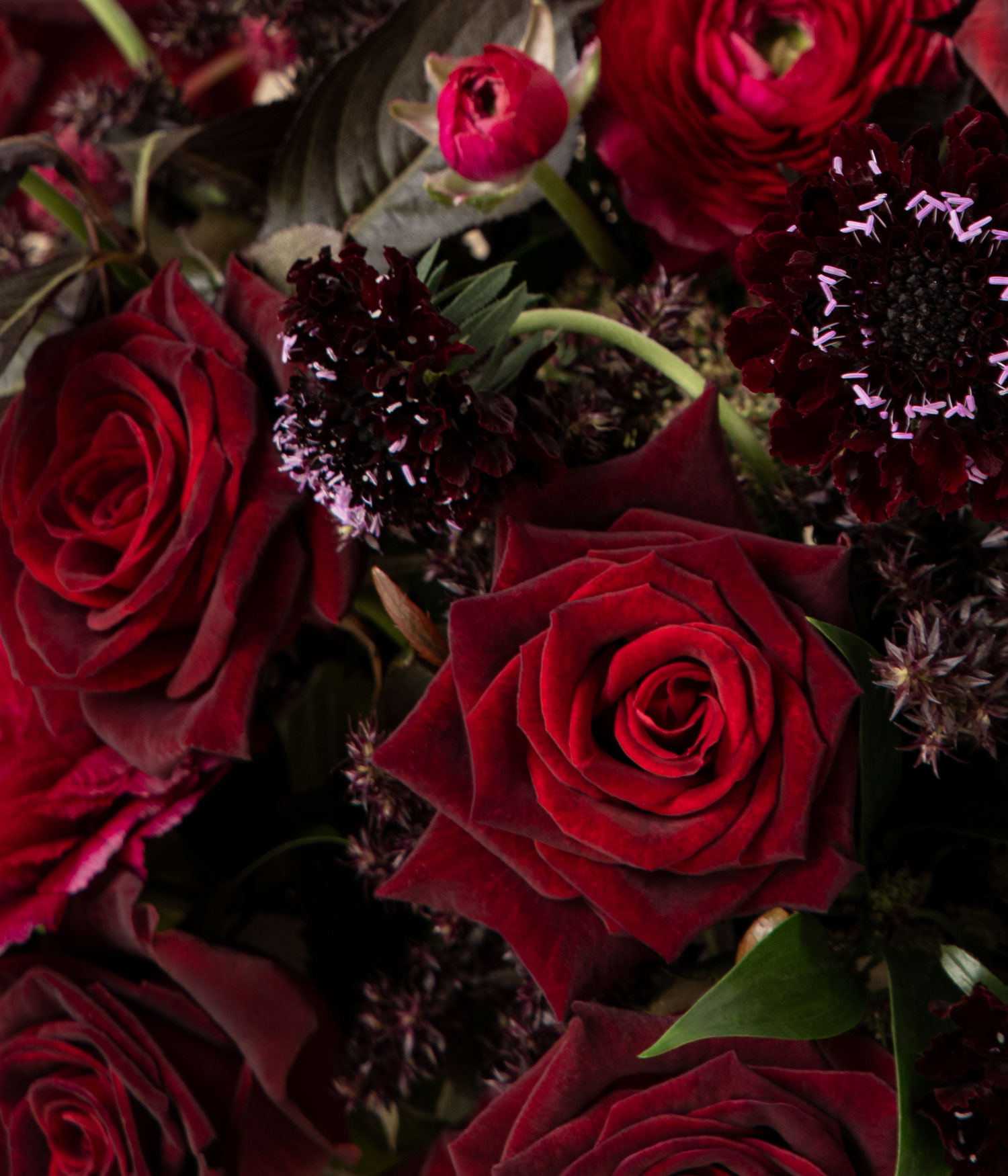 Rose Noir red rose Flower Bouquet by flannel flowers florist